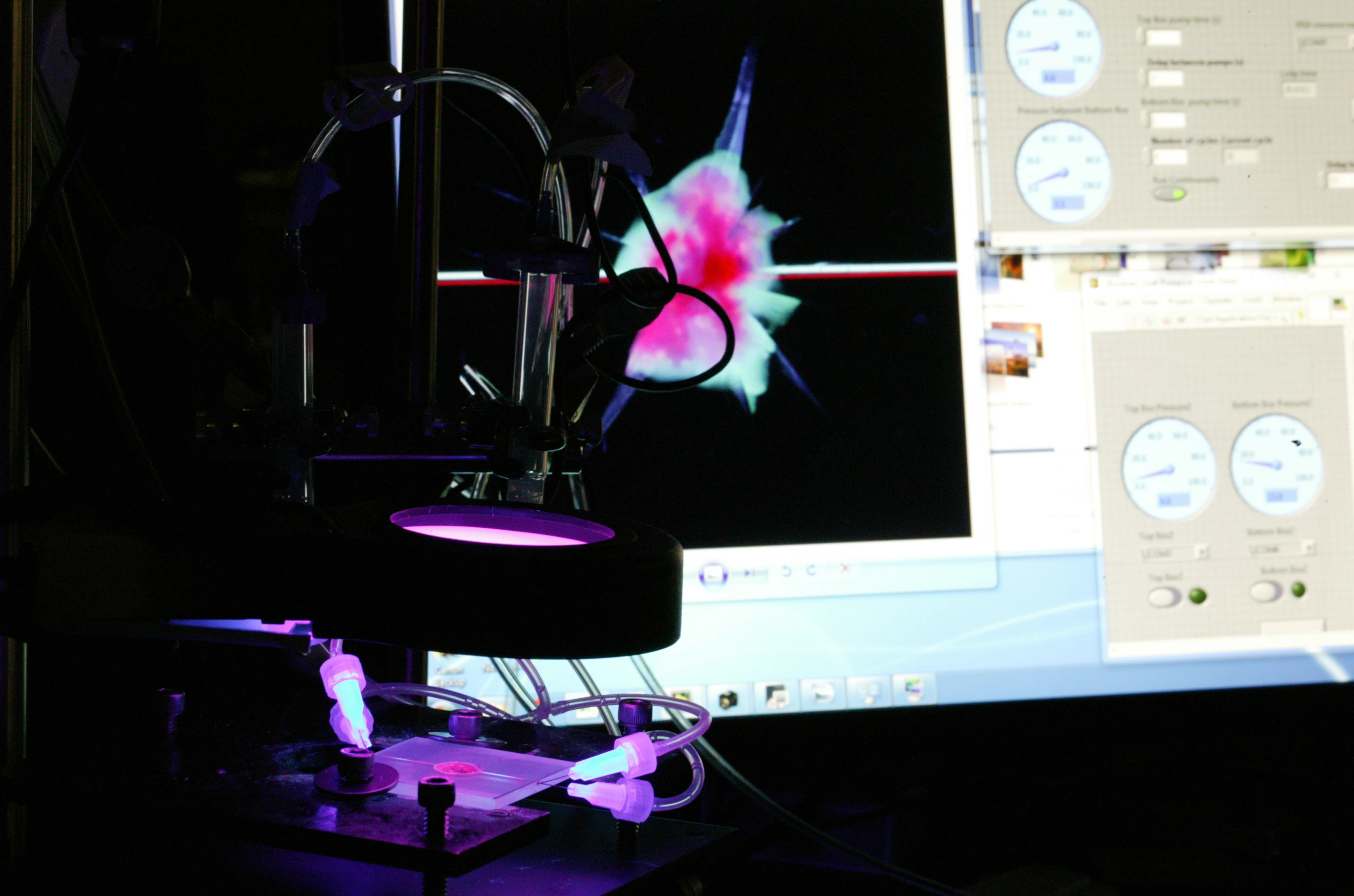 Experimental set up for studying plastic regeneration