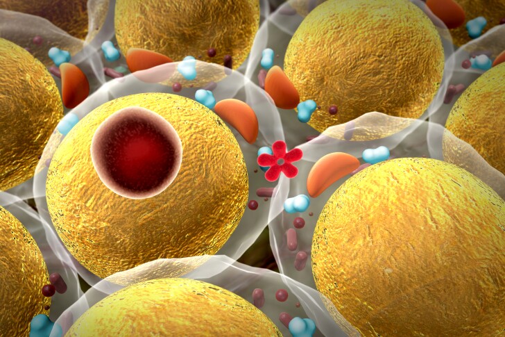 A new study has shed new light on the way fat behaves when subjected to cold temperatures