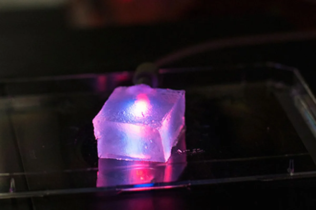Three-dimensional slab of gelatin that contains a microvascular network created with the help of a machine very similar to a cotton candy machine