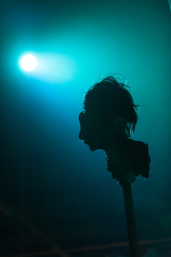 Patient Zero: Melbourne (Photo: Vinnie Lum, PhotoLuminessence)