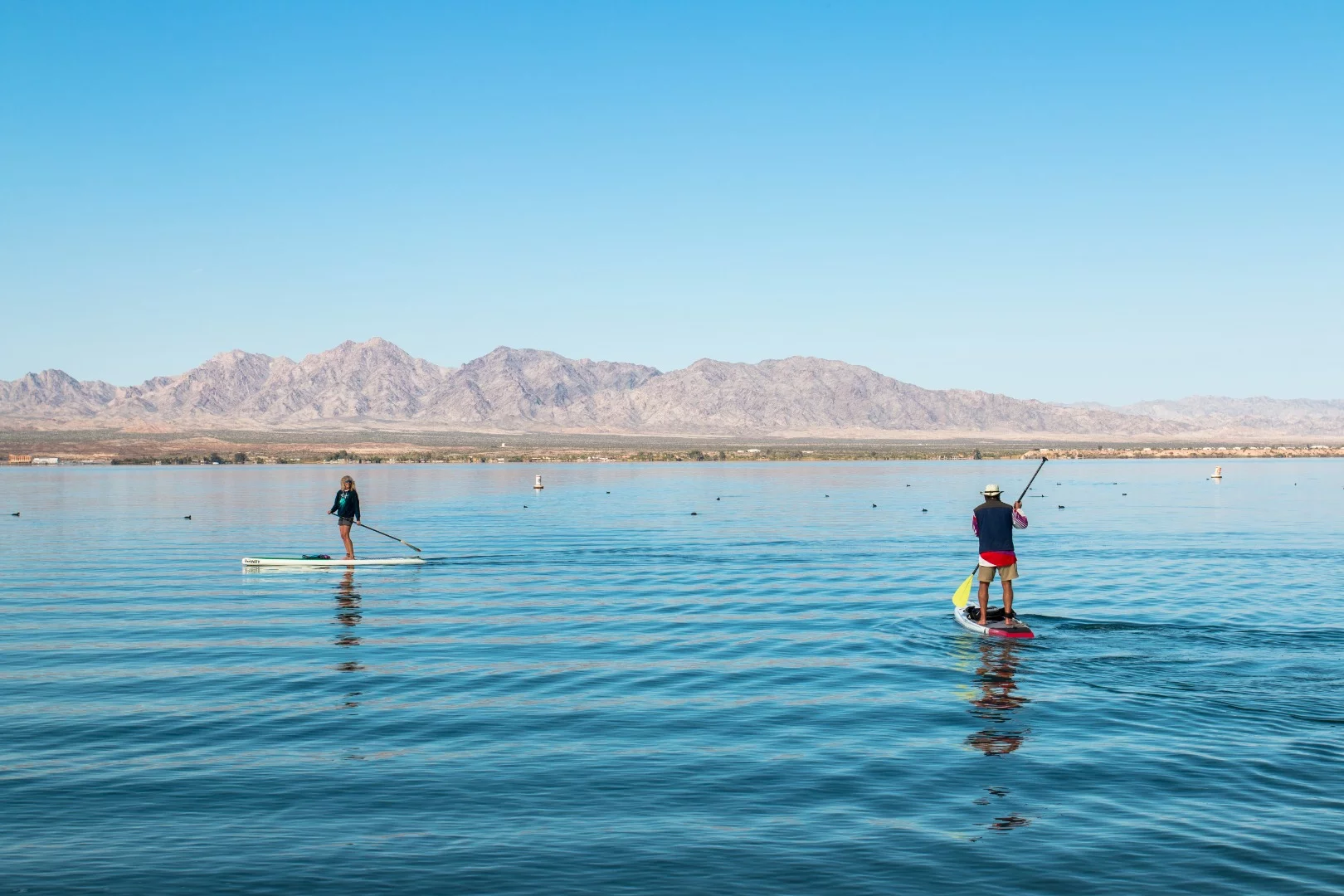 Riverbound sports, out of Phoenix, brought a range of stand-up paddleboards, and put on tryout sessions and lessons