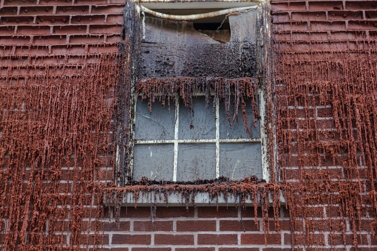 The windows are also made from wax and will melt as the project progresses (Photo: Tommophoto)