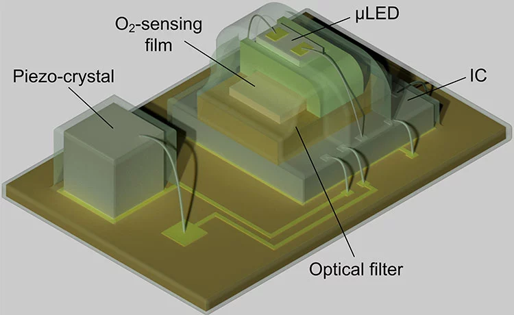 Diagram depicting the makeup of a new implant that tracks oxygen levels in deep tissues