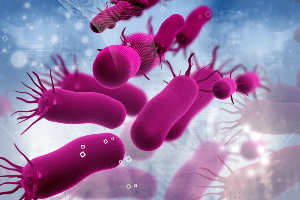 In a newly discovered "zombie state" bacteria slow down all processes to avoid extreme environmental conditions such as antibiotics or lack of nutrients