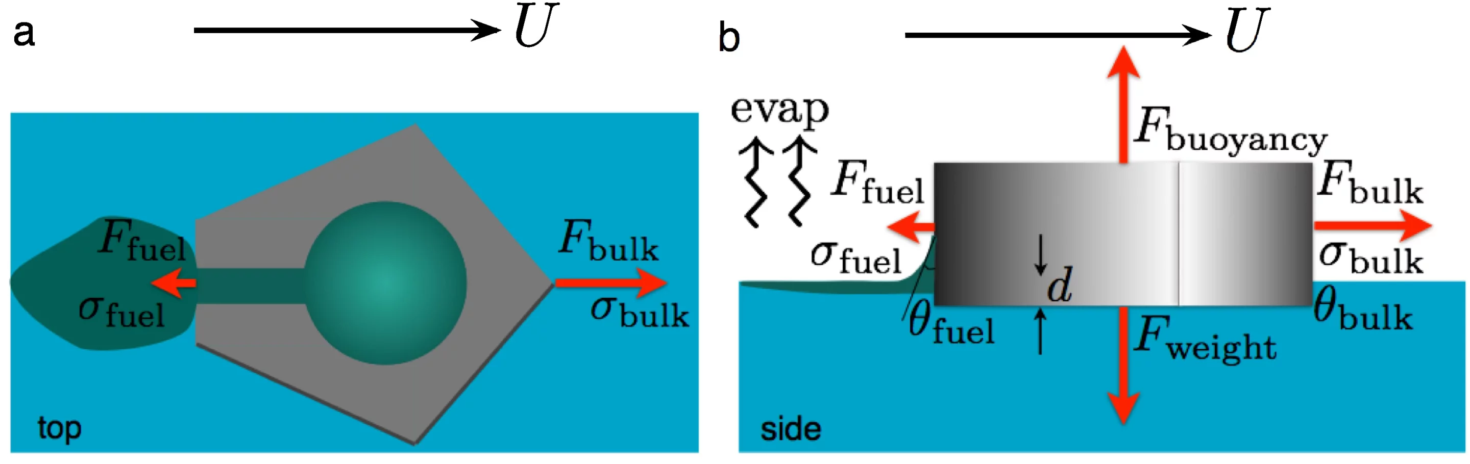 Schematic demonstrating the principles of fluid dynamics upon which cocktail boats, or aquatic insects, move
