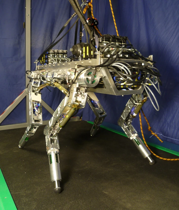HyQ, the Hydraulically actuated Quadruped robot by IIT (Photo: IIT)