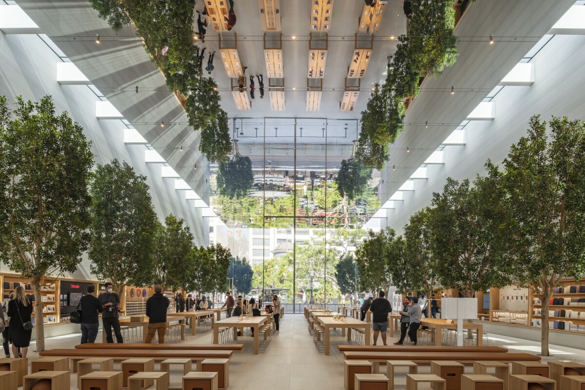 LA Apple Store brings the outdoors inside with treelined retail space