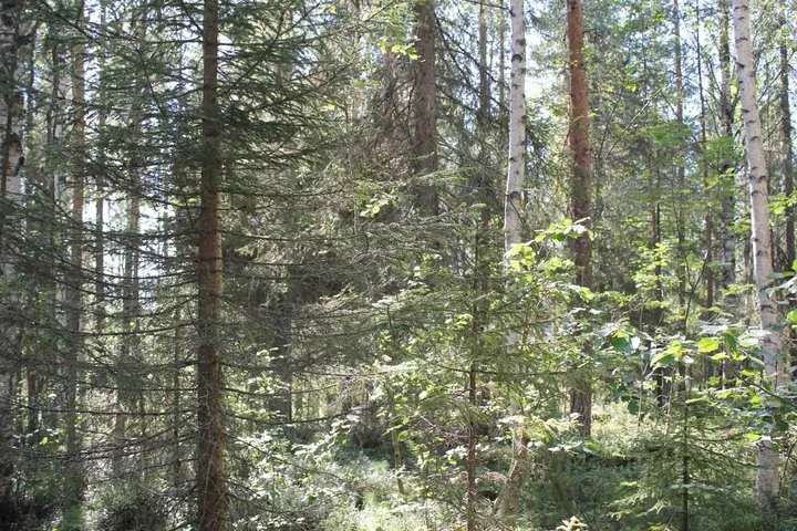 Can you see The Mirrorcube?
