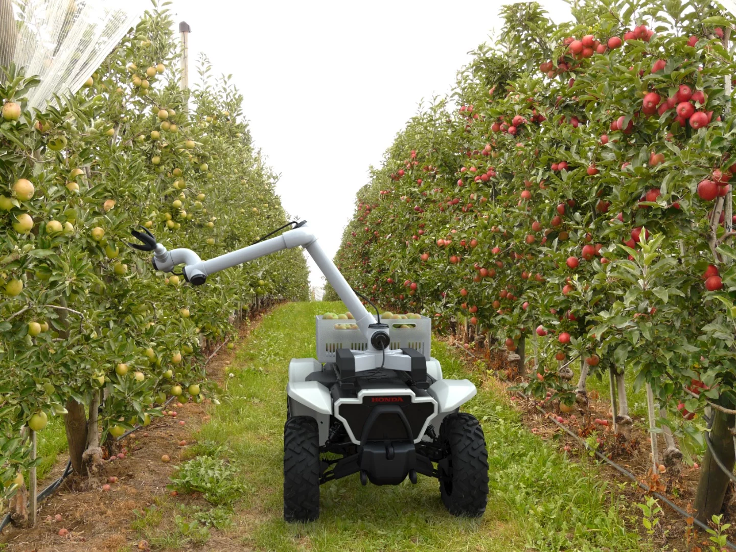 Here, the AWV is equipped with a theoretical fruit picking attachment. Such a thing does not yet exist