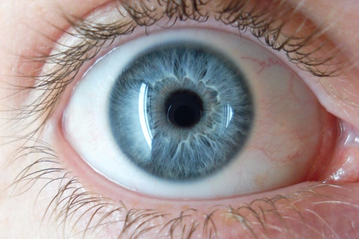 To Diagnose Autism Watch The Eyes