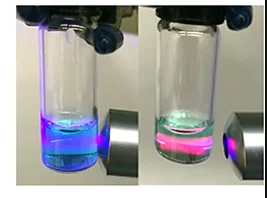 Researchers demonstrating how the test works: a blue glow means the enzyme has been blocked; a red one means that the virus has not been disrupted
