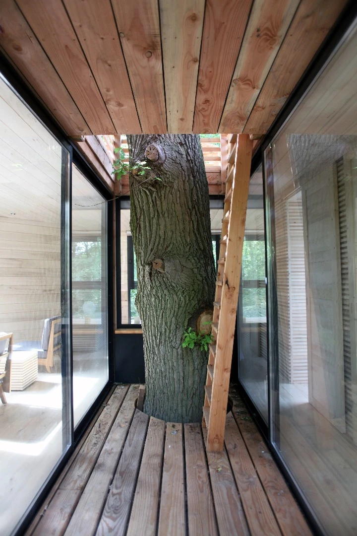 The surprising rooftop terrace is accessible via a wooden ladder hidden along one of the cabin's exterior walkways