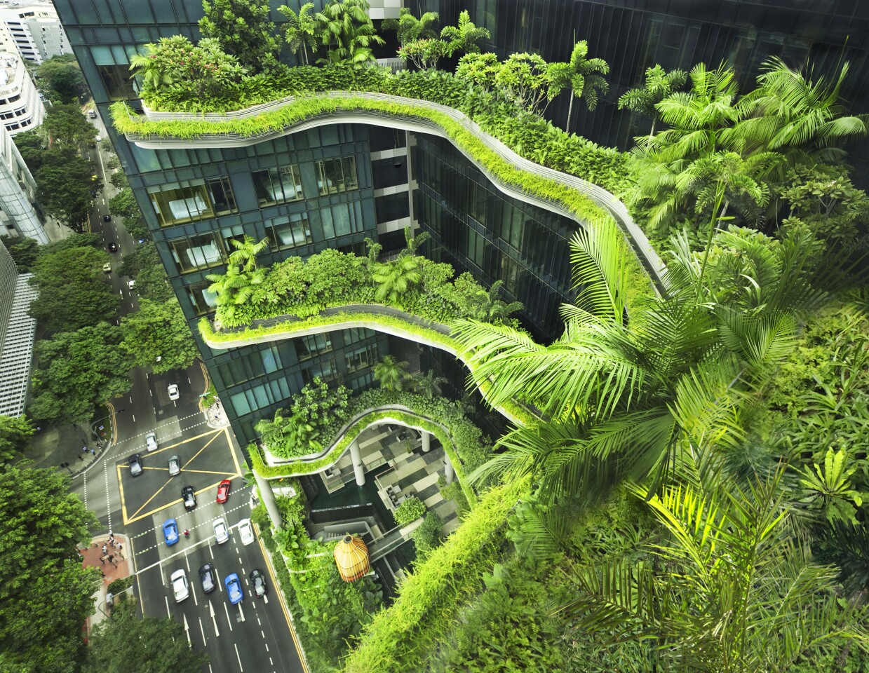 Park Royal Hotel, Singapore, by WOHA (Photo: Patrick Bingham Hall)