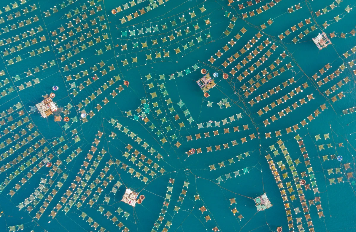 Lobster breeding farm in Vietnam. This drone shot claimed first prize in the Enthusiast's Landscape category of SkyPixel's 2017 Photo Contest