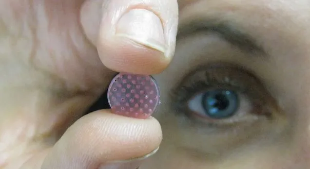 Scientists have used microneedle arrays to store a live vaccine at room temperature, and administer it through the skin of lab mice
