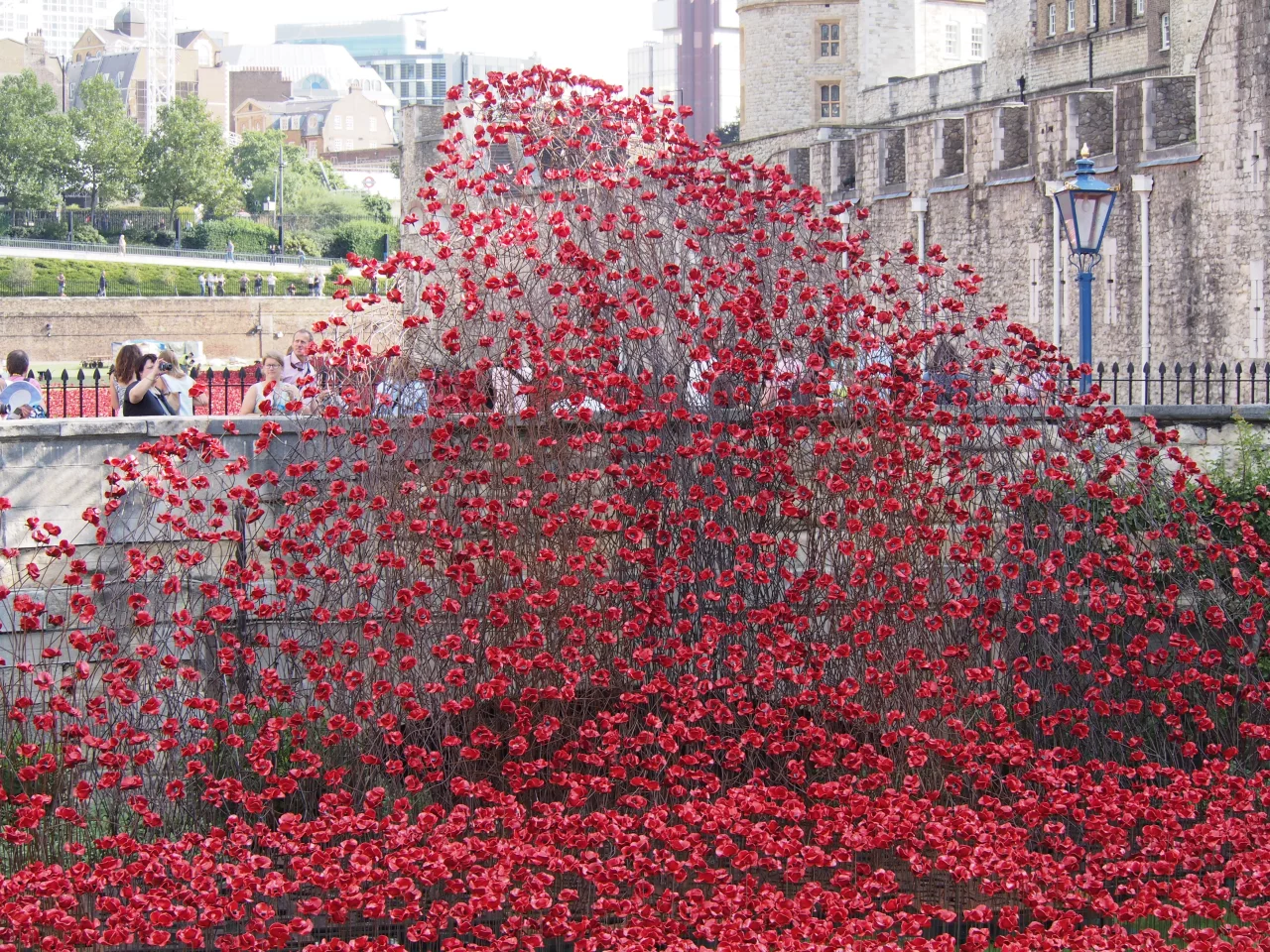 The poppies are available for purchase at a price of £25 (approx US$42), with proceeds split between six charities (Photo: Adam Williams/Gizmag)