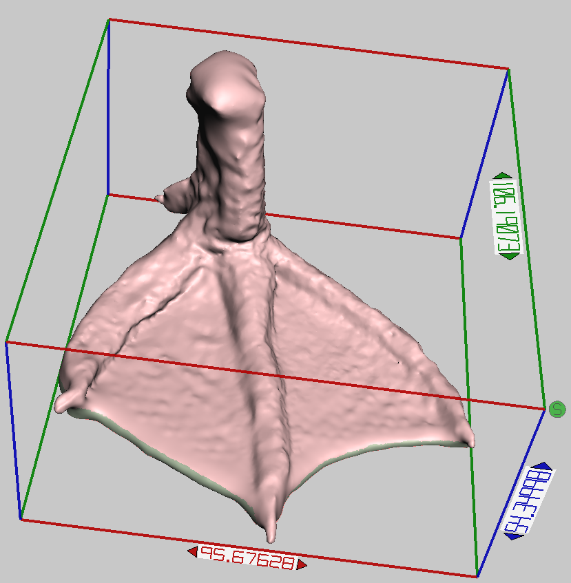 The design for the 3D printed foot