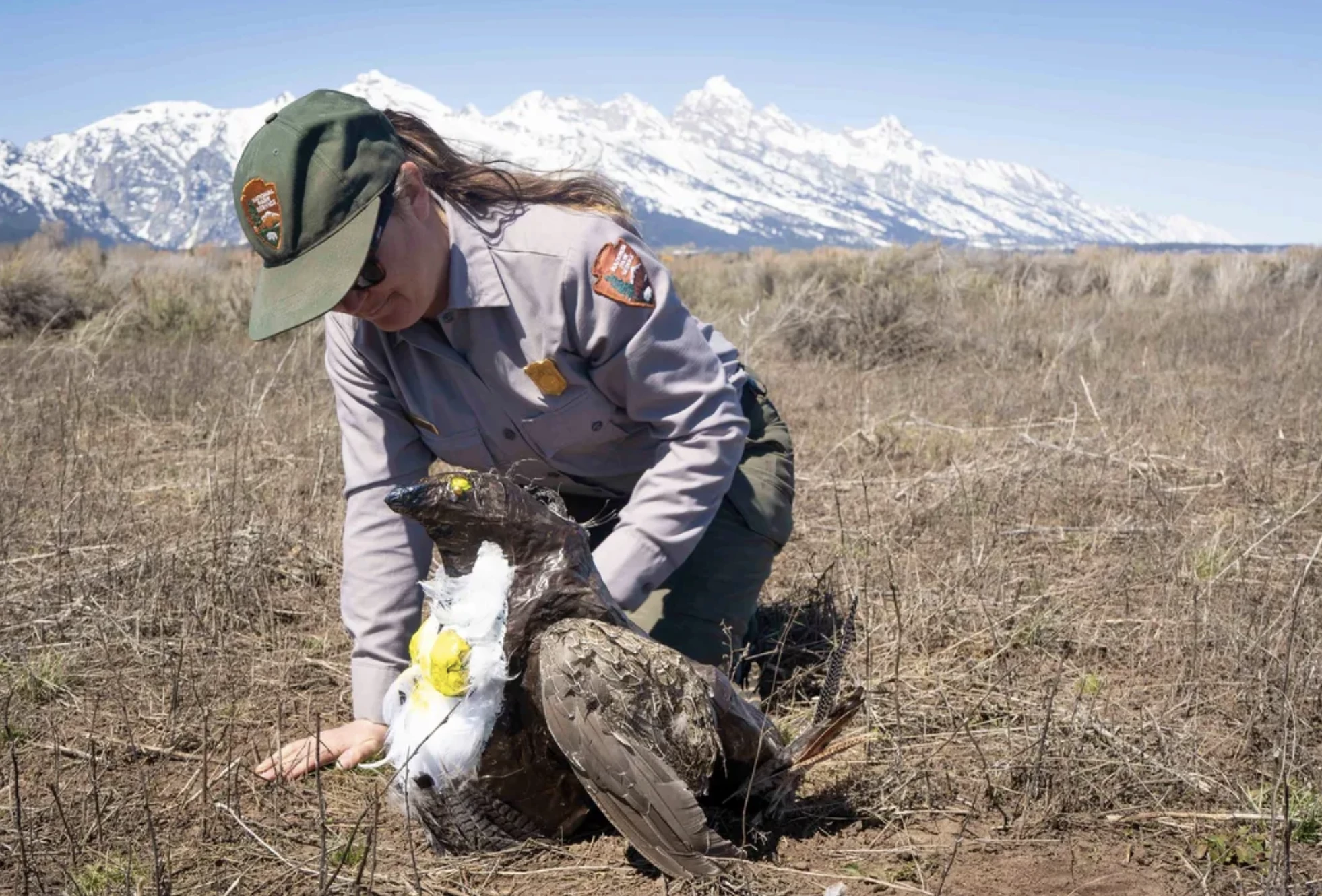The stage is set in the Greater Teton National Park