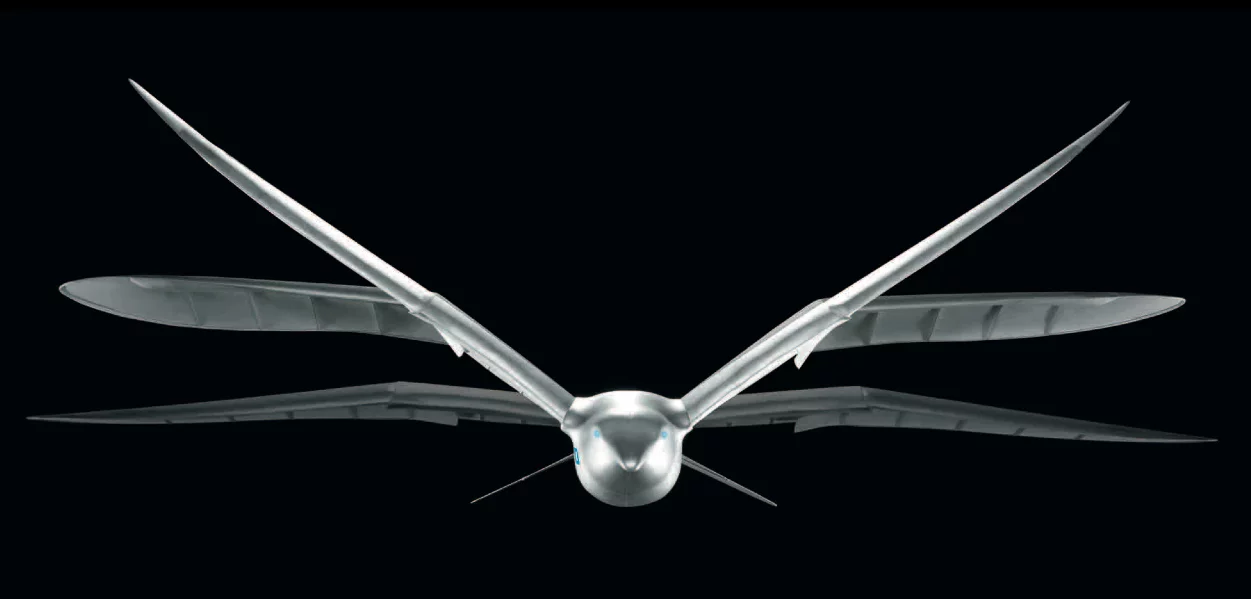 Festo's SmartBird robotic seagull