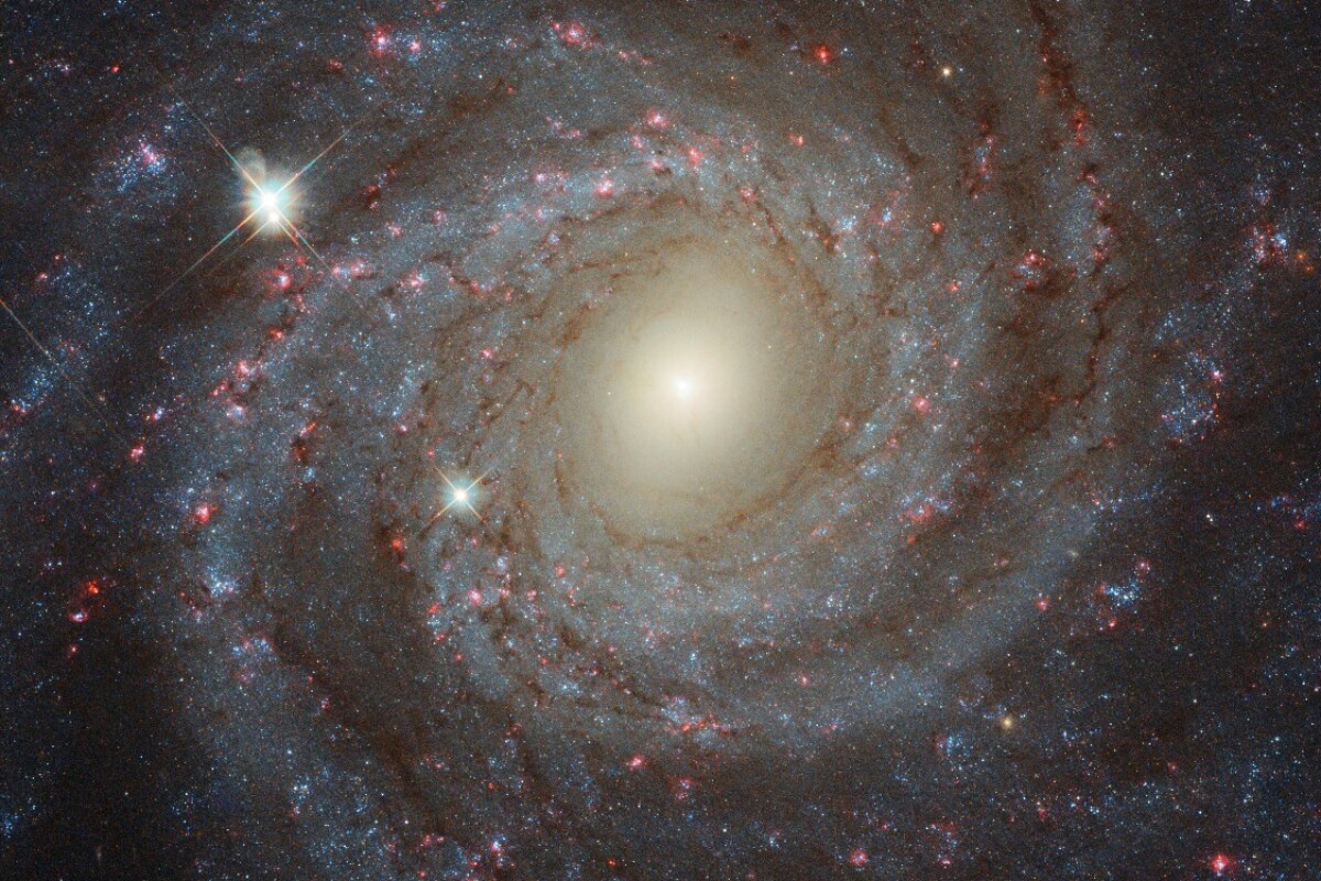 Spiral galaxy NGC 3344 sparkles in glorious new Hubble image