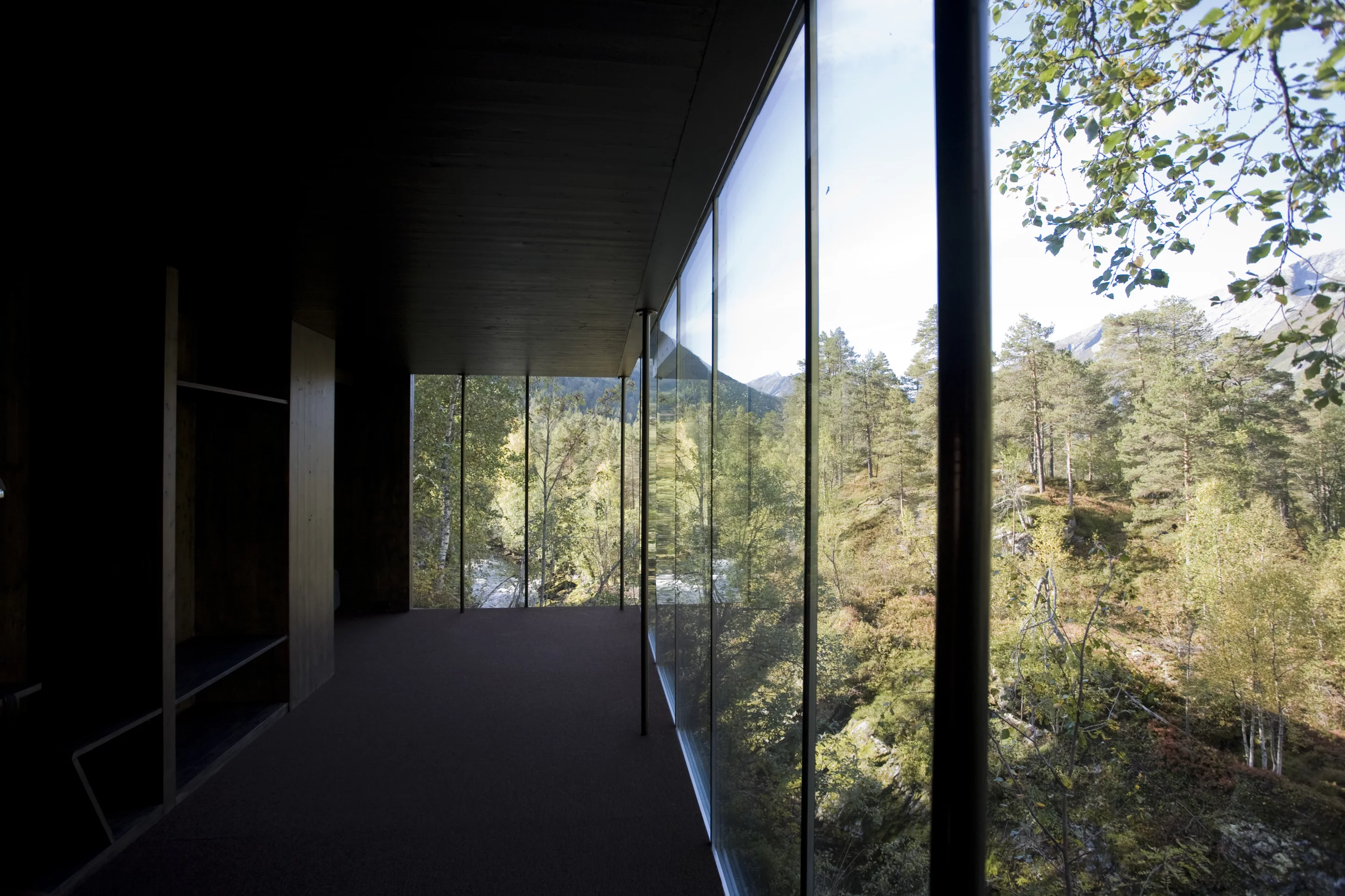 Each cabin features one or two floor-to-ceiling glass feature walls that frame the surrounding nature