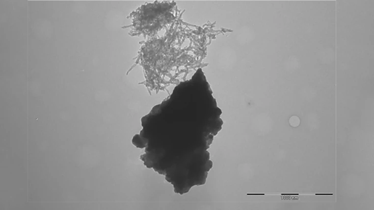 The snail-inspired approach promises to better connect the darker lithium manganese nickel oxide material with the carbon nanotubes seen above (Image: Evgenia Barannikova/UMBC)