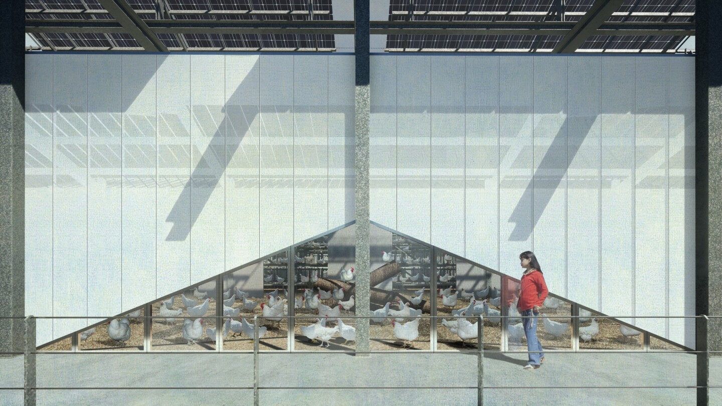 Floating Farm Poultry will house roughly 7,000 hens and its semi-transparent facade will allow visitors to have a look at what's going on inside