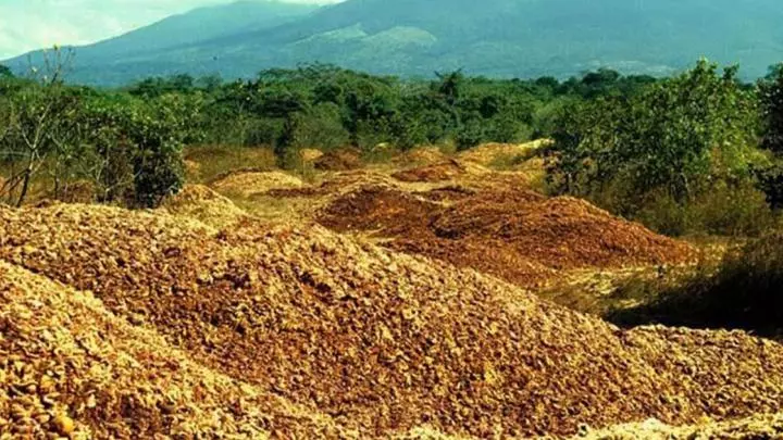 The land immediately after it was loaded with orange waste in the late 1990s