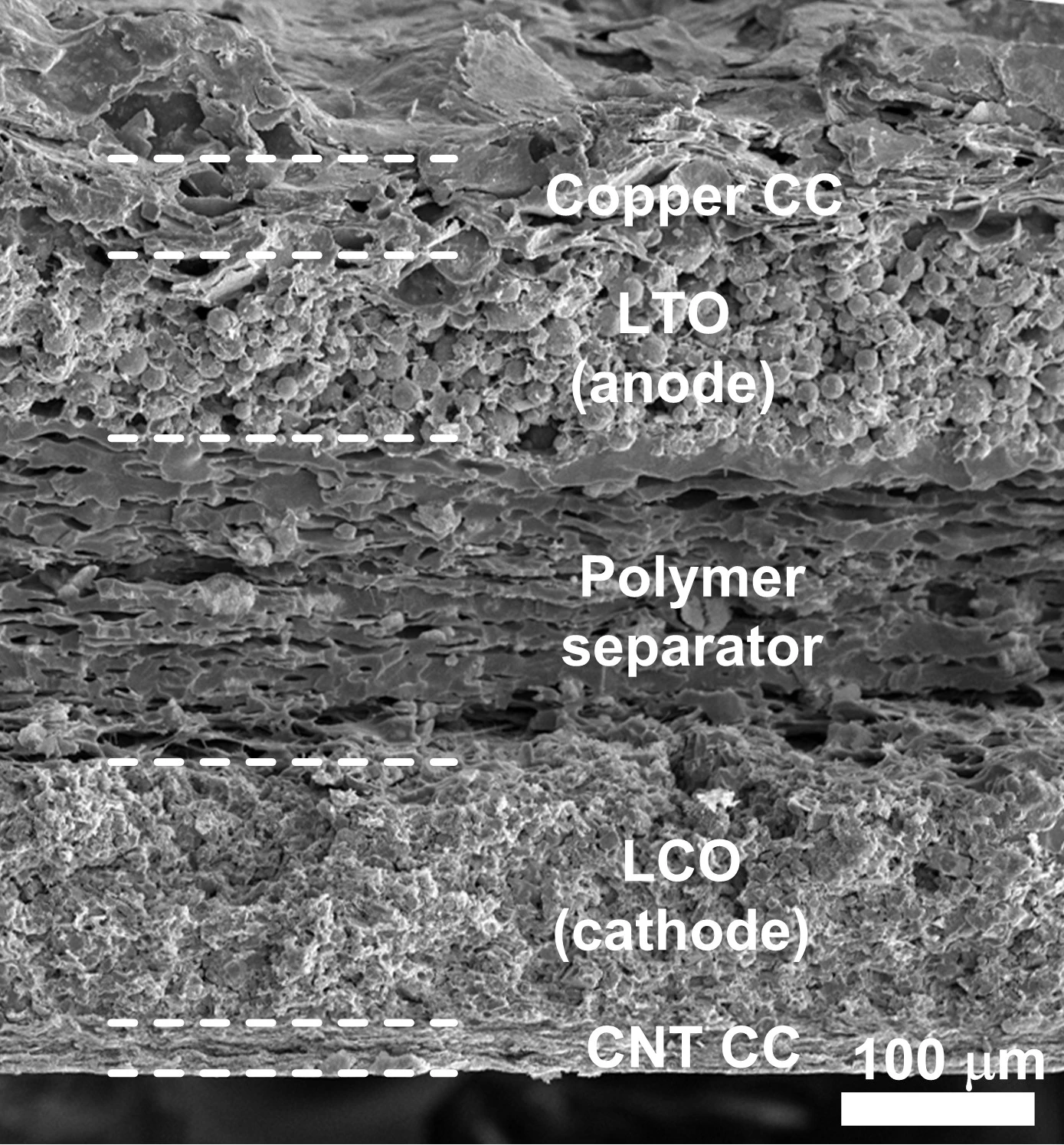 An electron microscope image of a spray-painted lithium-ion battery developed at Rice University shows its five-layer structure (Photo: Ajayan Lab/Rice University)