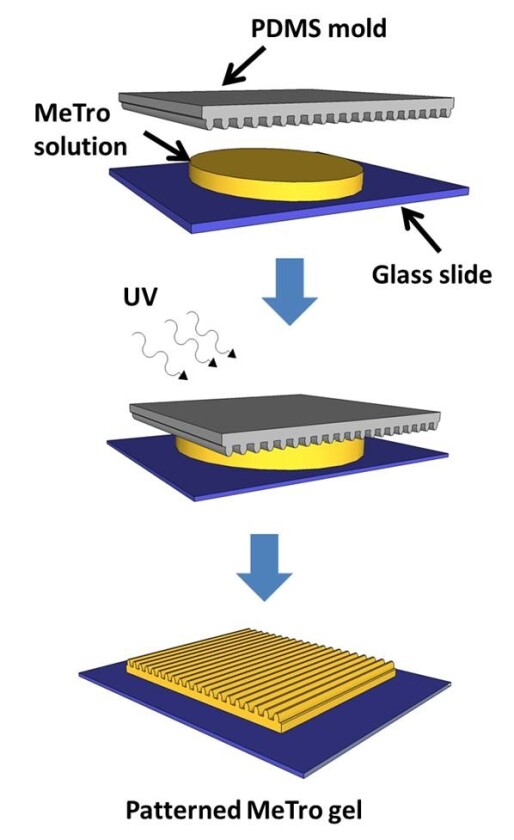 The process by which MeTro gel is created (Image: Khademhosseini lab)