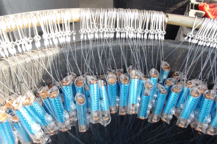 A longline equipped with SharkGuard devices (blue) awaits baiting and deployment