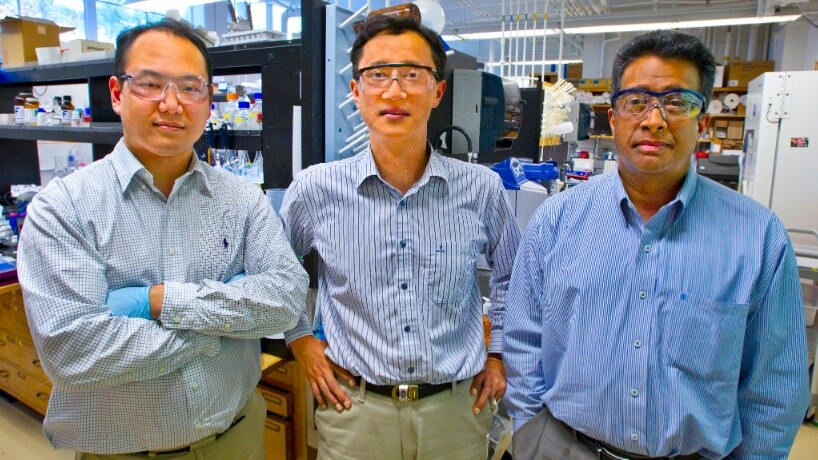 Left to right, Byung Yang Lee, Seung-Wuk Lee, and Ramamoorthy Ramesh are among the scientists behind the research (Photo: Lawrence Berkeley National Laboratory)