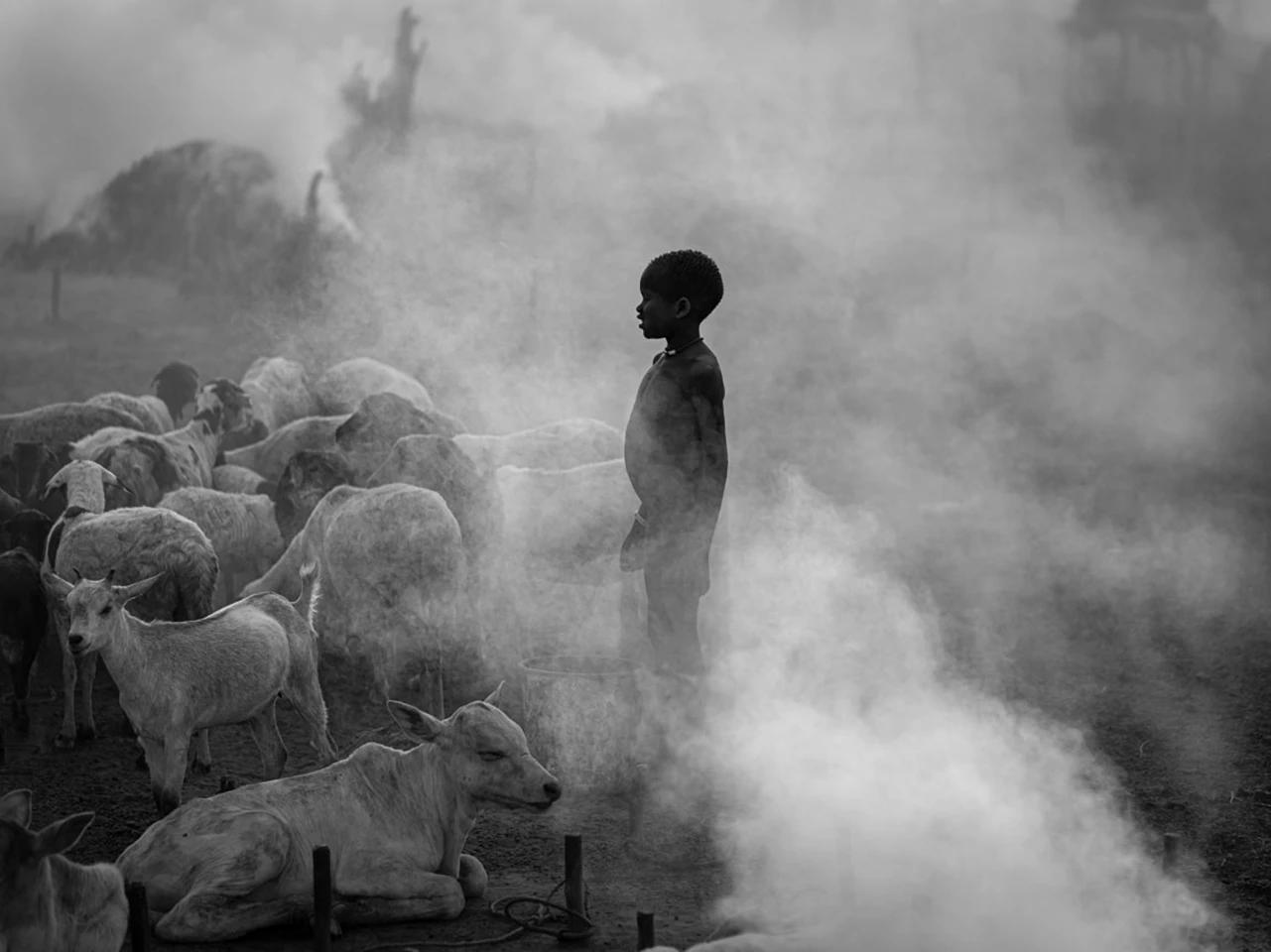 Winner, Urban Photo Arena. "Becoming an Adult"
