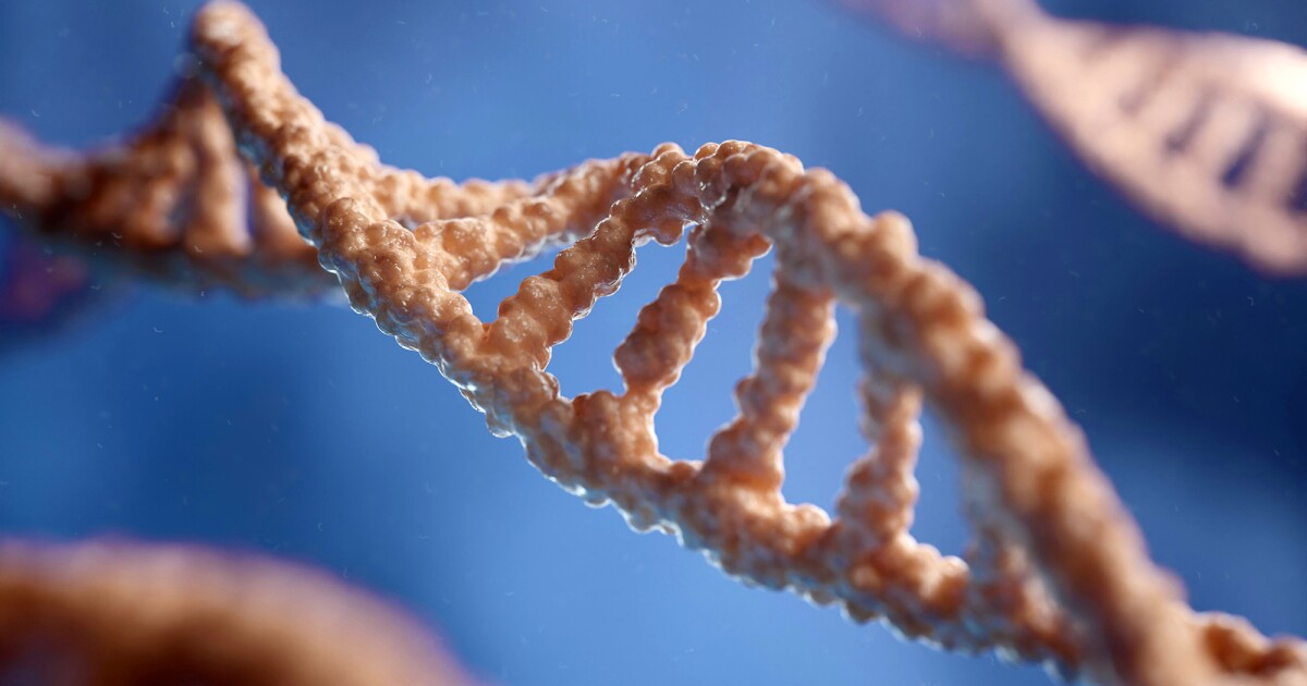 Hidden proteins in DNA may lead to new obesity drugs Hidden proteins in DNA may lead to new obesity drugs