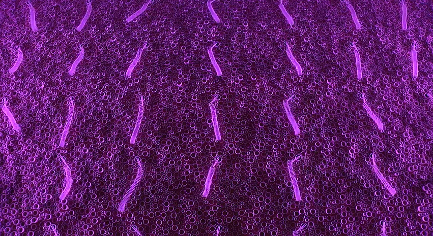 A close-up of some of the 70 nodes that make up the Swarm Wall interactive art exhibit, which react to motion and signals from one another