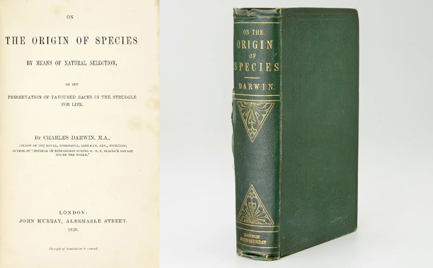First published in 1859, Charles Darwin's On the Origin of Species by Means of Natural Selection is one of the most important scientific documents of all time and the foundation of evolutionary biology. Darwin's book introduced the scientific theory that populations evolve over the course of generations through a process of natural selection. It presented a body of evidence that the diversity of life arose by common descent through a branching pattern of evolution. Bonhams is selling both a first edition (above left) and a second edition (above right) of this work in consecutive lots. From the auction description: "Darwin not only drew an entirely new picture of the workings of organic nature; he revolutionized our methods of thinking and our outlook on the natural order of things. The recognition that constant change is the order of the universe had been finally established and a vast step forward in the uniformity of nature had been taken"