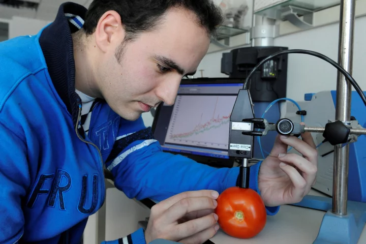 Josu Trebolazabala analyses the composition of a tomato using a Raman spectrometer
