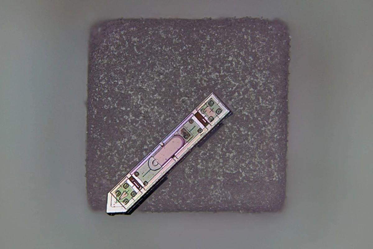 Pictured here on a grain of salt, the MOTE implant measures just 300 x 70 microns – it could be used to develop treatments for a wide variety of neurological disorders