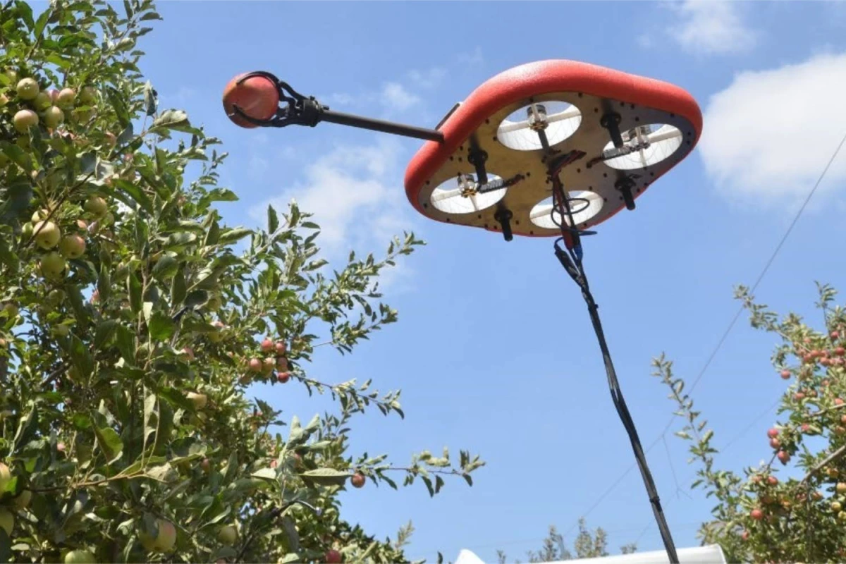 A Tevel FAR drone in apple-picking action