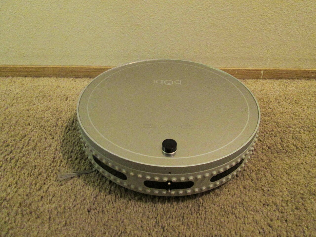 The bObi Pet can detect stair edges