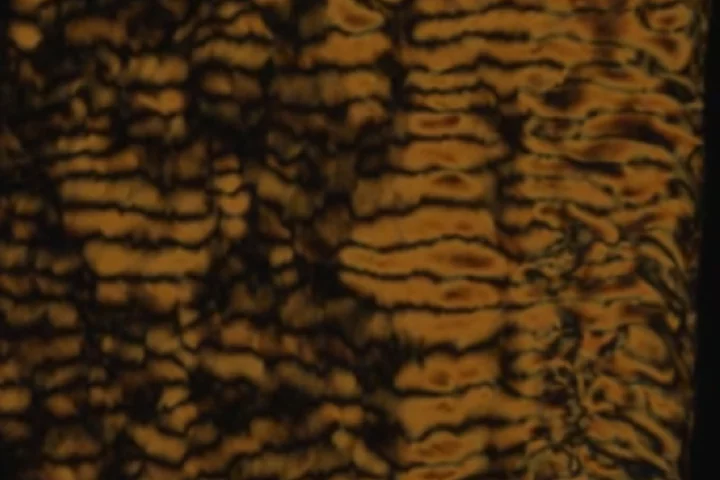 Patterns created by bacteria swimming through the living liquid crystal
