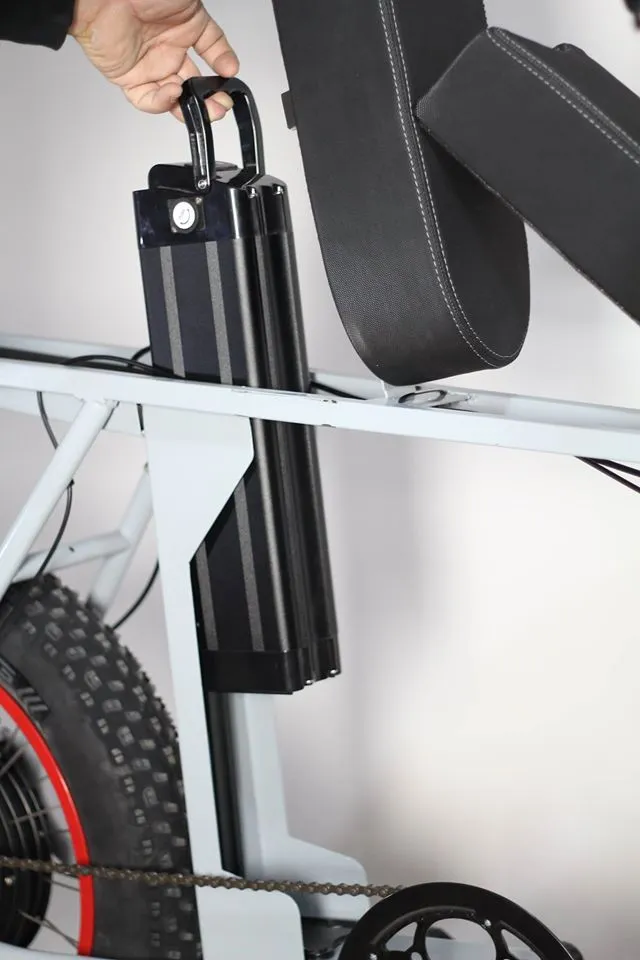 The lockable battery removes easily for indoor charging and storage
