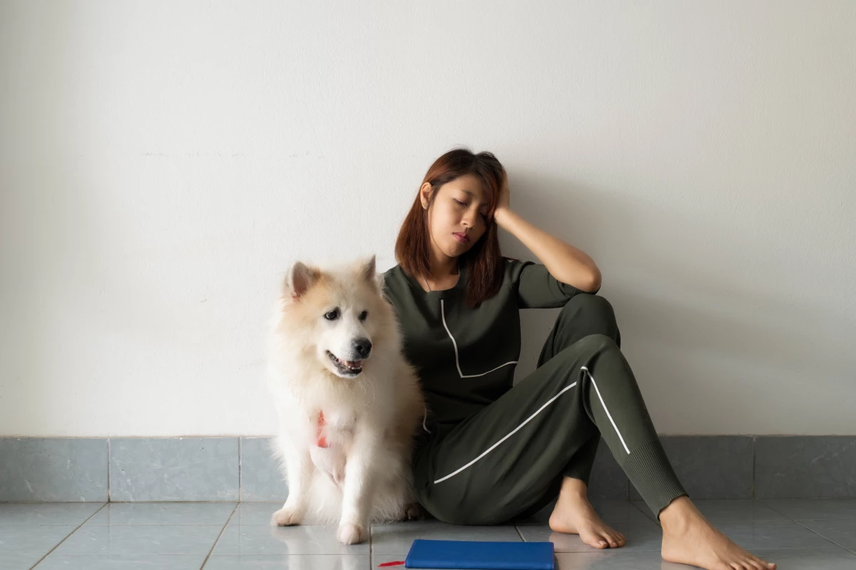 A new study provides "firm" evidence that dogs can detect the smell of stress