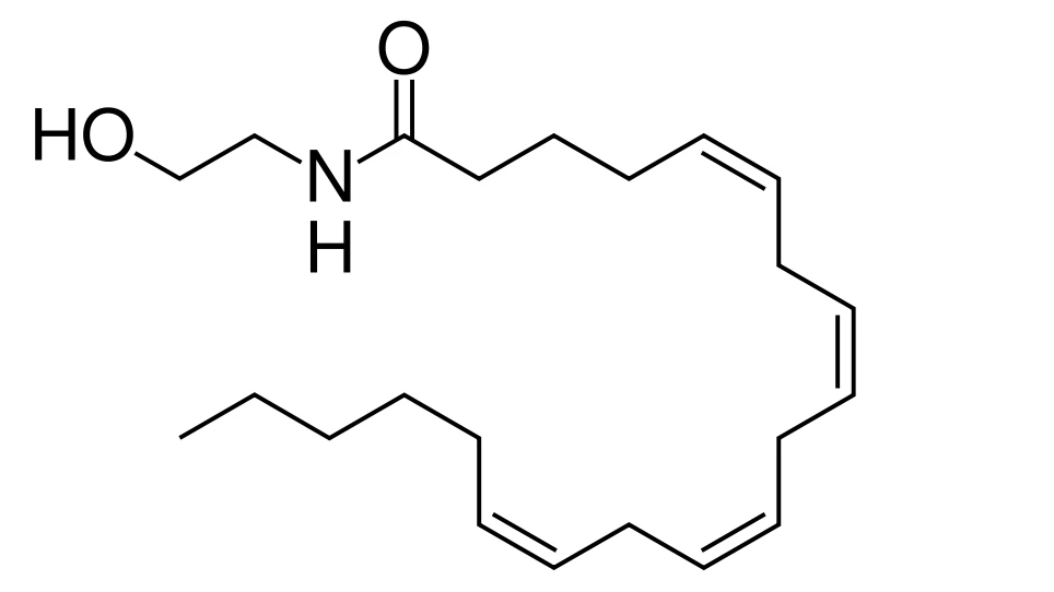The molecular structure of Anandamide