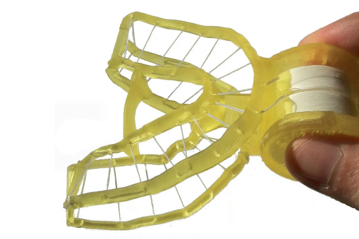 No, it's not a medieval torture device, it's Blizzident's 3D-Flosser