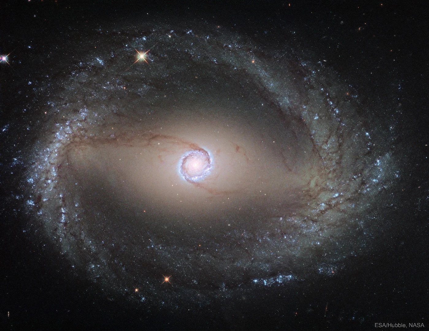 Spiral Galaxy NGC 1512: The Inner Ring
