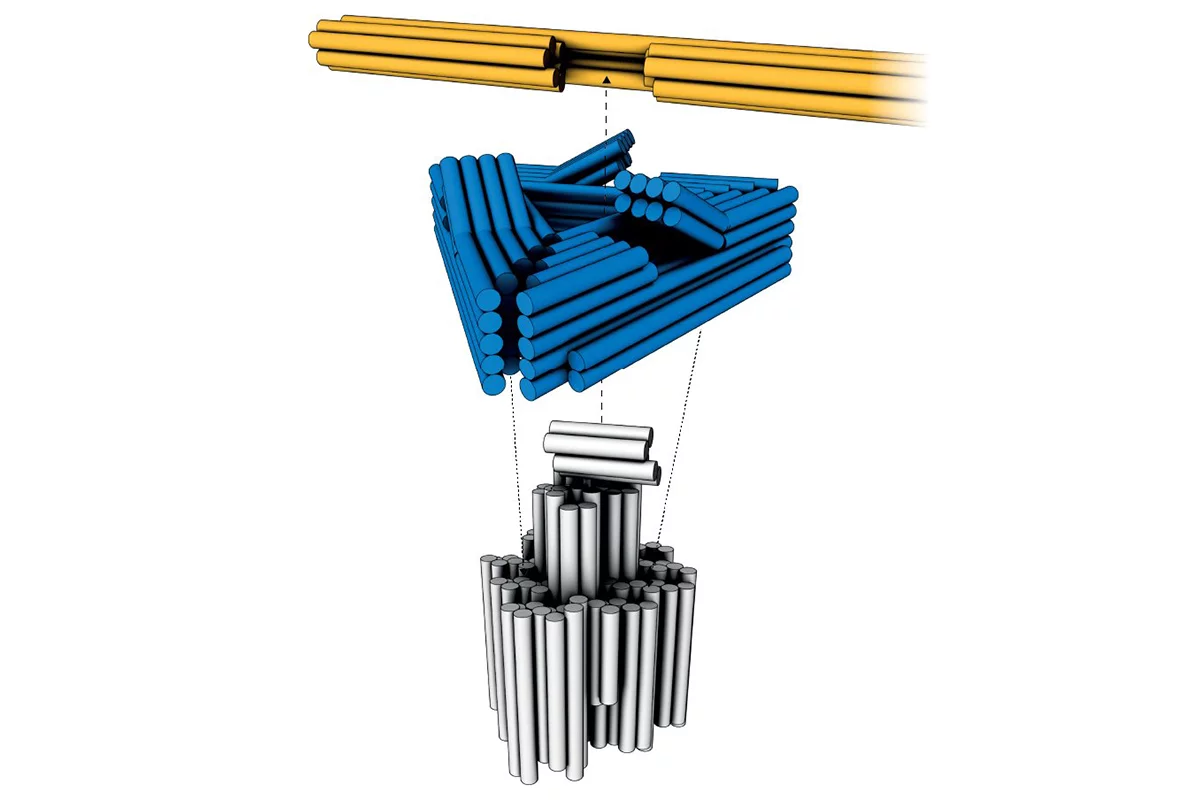 A molecular diagram of the team's new DNA nanomotor, consisting of a rotor (yellow), ratcheting platform (blue) and a base (white)