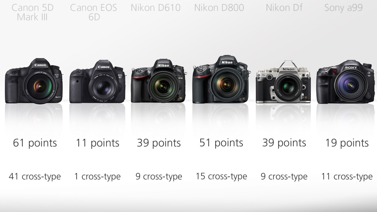 It's the Canon 5D III and the Nikon D800 which have the best autofocus systems of the bunch