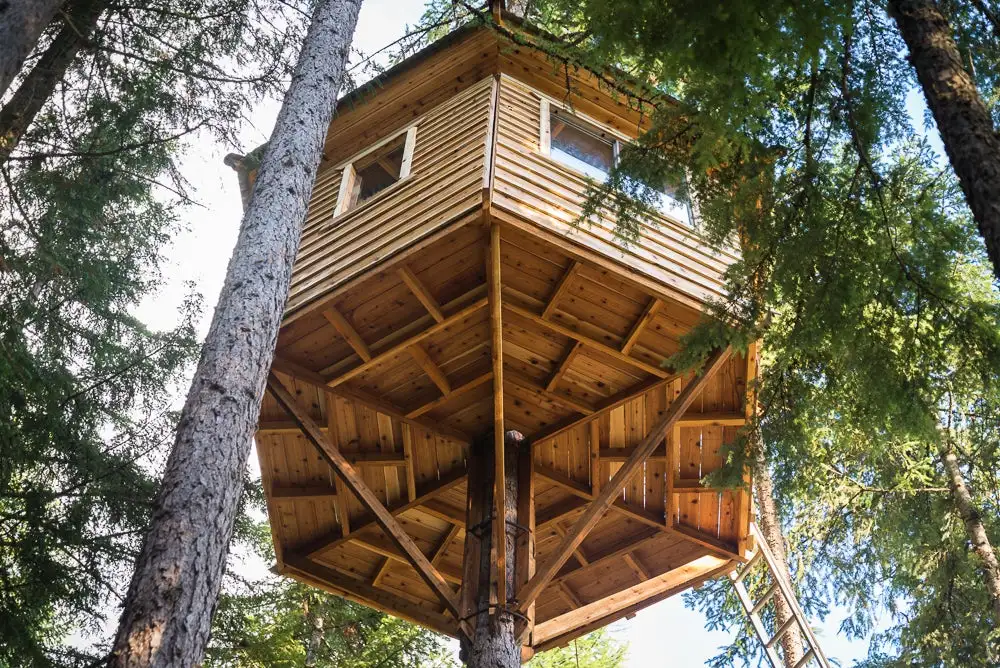 Ethan Schlussler's treehouse is 25 ft (8.5 m) above the ground and features a bicycle elevator