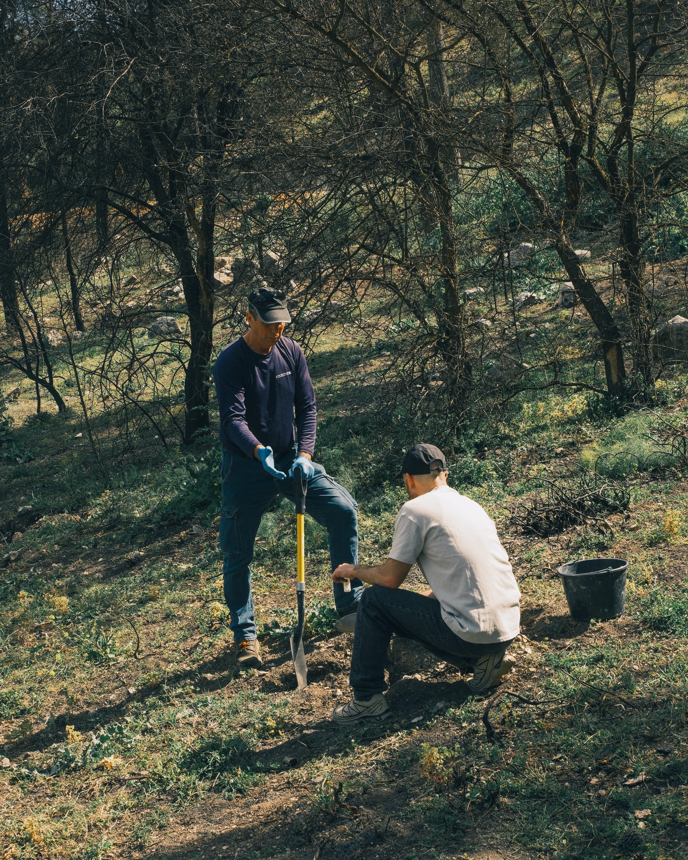 In a landscape where forests once stood, TreeSoil rises as a gentle protector, printed from the earth itself and designed to help new life take root